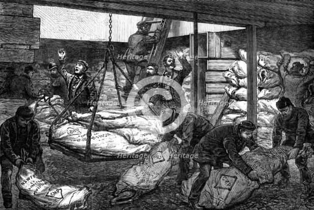 Landing Australian frozen meat from Sydney in the South West India Dock, Millwall, 1881. Creator: Unknown.