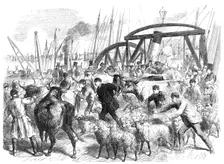Landing foreign cattle at the British and Foreign Wharf, near the London Docks, 1865. Creator: Unknown