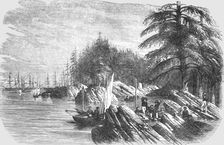 Landing of the French Troops at the Island of Trescos-- one of the Aland Group 1854. Creator: Unknown