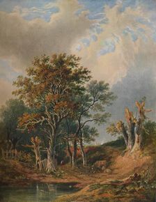 Landscape 1847. Artist: Samuel David Colkett