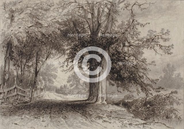 Landscape, 1877. Creator: James David Smillie.