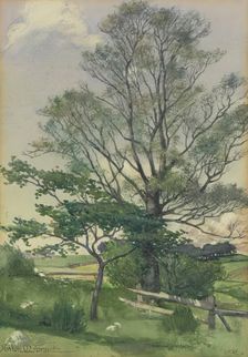 Landscape, 1902. Creator: Gordon Mitchell Forsyth