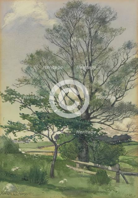 Landscape, 1902. Creator: Gordon Mitchell Forsyth.