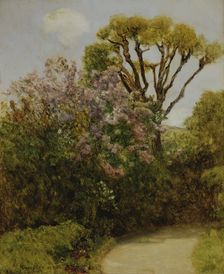 Landscape, 1906. Creator: Franz Rumpler