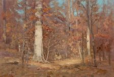 Landscape, 1909. Creator: Theodore Clement Steele
