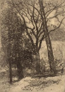 Landscape, 1913. Creator: William Forsyth