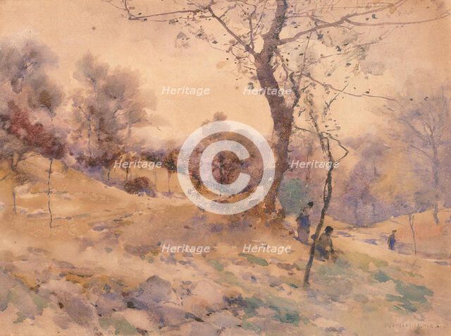 Landscape, n.d. Creator: William Henry Holmes.