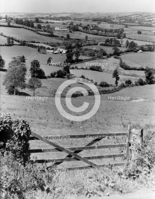 Landscape near Cadbury, Somerset, c1955.  Creator: Arthur Charles Kirby Ware.