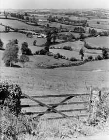 Landscape near Cadbury, Somerset, c1955. Creator: Arthur Charles Kirby Ware