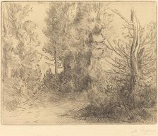 Landscape: Near Chailleux (Paysage: Pres Chailleux). Creator: Alphonse Legros