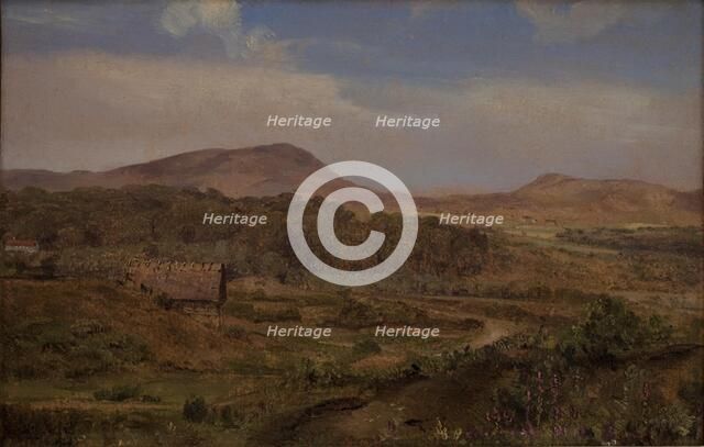 Landscape near Blokhus, Jutland, 1848. Creator: Martinus Rorbye.