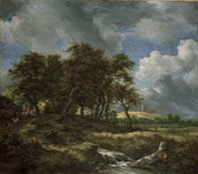Landscape near Muiderberg, early 1650s. Artist: Jacob van Ruisdael