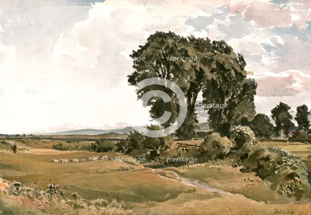 'Landscape, near Wareham, Dorset - an Outdoor Sketch', (c1900). Creator: Unknown.