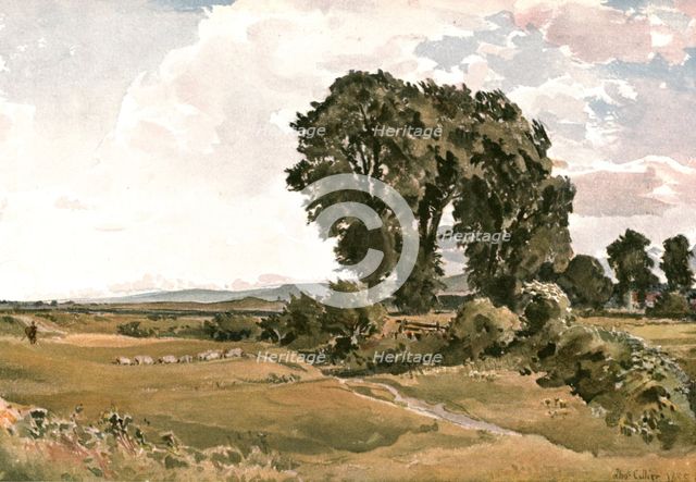 'Landscape, near Wareham, Dorset - an Outdoor Sketch', (c1900). Creator: Unknown.