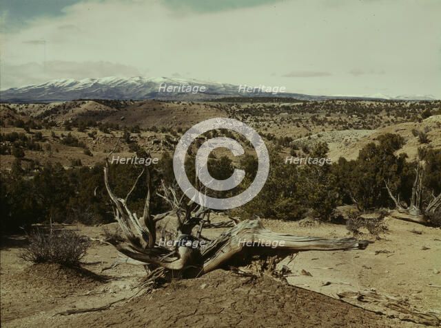 Landscape, Northeast Utah, 1942. Creator: John Vachon.