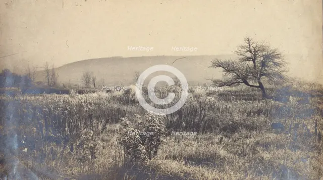 Landscape of a field with hill in background, c1900. Creator: Unknown.