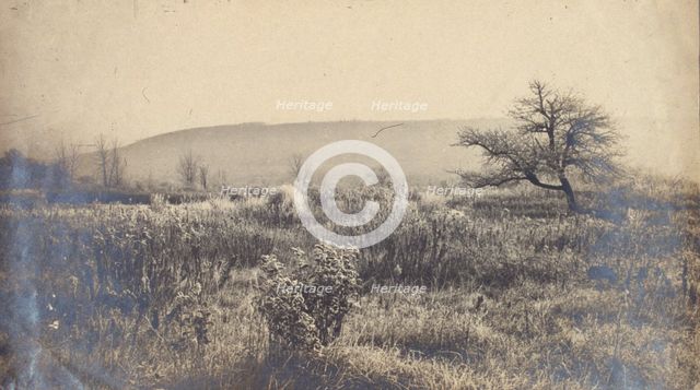 Landscape of a field with hill in background, c1900. Creator: Unknown.