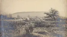 Landscape of a field with hill in background, c1900. Creator: Unknown