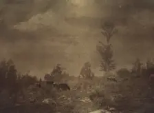 Landscape of cows grazing in a rocky field, c1900. Creator: Unknown