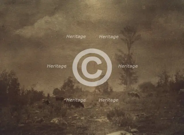 Landscape of cows grazing in a rocky field, c1900. Creator: Unknown.