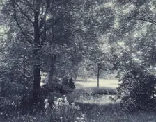 Landscape of trees and meadow with irises in foreground, c1900. Creator: Unknown