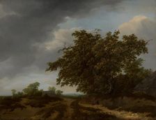 Landscape on the Edge of the Dunes, c1648-1691. Creator: Jan Vermeer van Haarlem