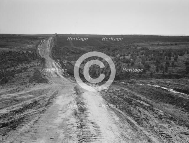 Landscape on top of bench, showing new lands, and farms..., Dead Ox Flat, Oregon, 1939. Creator: Dorothea Lange.