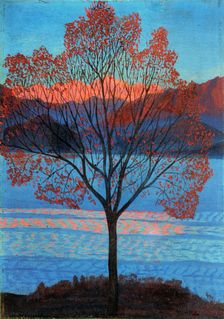 Landscape at the First Rays of Sun