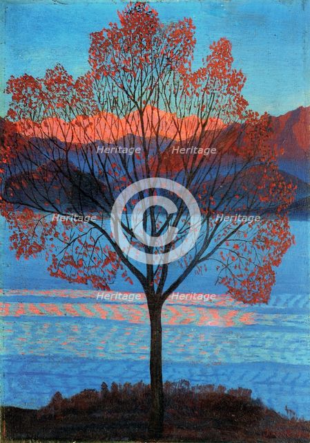 Landscape at the First Rays of Sun.