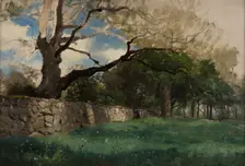 Landscape at Torsebro, near Kristianstad, 1884. Creator: Gustaf Rydberg