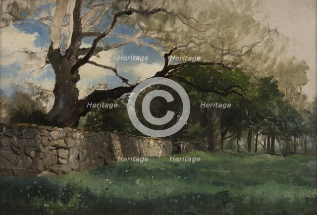 Landscape at Torsebro, near Kristianstad, 1884. Creator: Gustaf Rydberg.