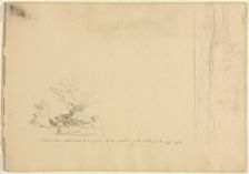 Landscape and Tree Studies (verso), c. 1851. Creator: David Johnson (American, 1827-1908)