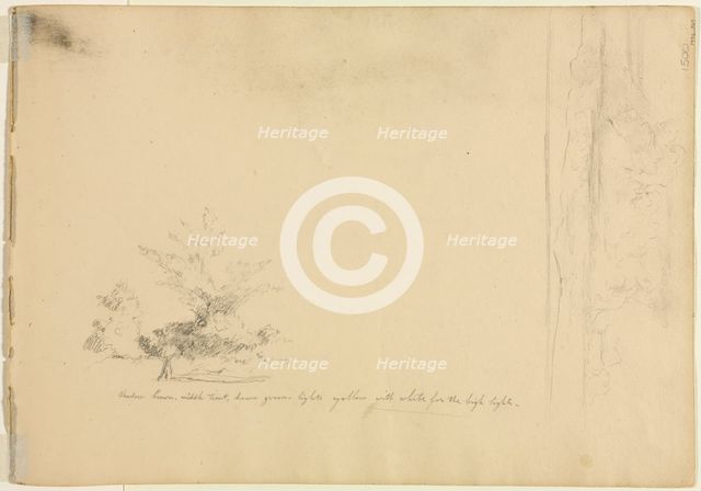 Landscape and Tree Studies (verso), c. 1851. Creator: David Johnson (American, 1827-1908).
