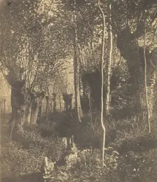 [Landscape, Arras], 1852. Creator: Adalbert Cuvelier