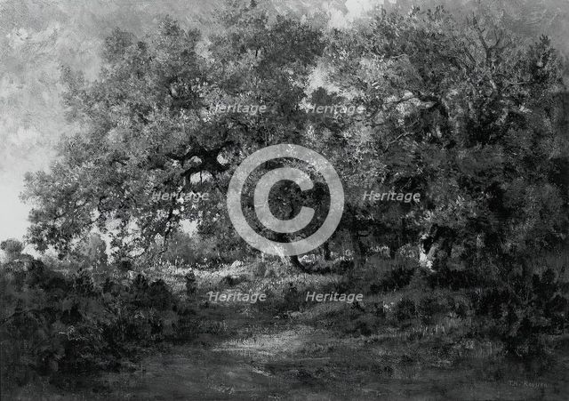 Landscape, c. 1860. Creator: Theodore Rousseau.