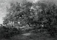 Landscape, c. 1860. Creator: Theodore Rousseau