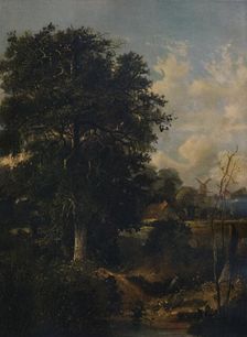 Landscape c1798. Artist: John Crome