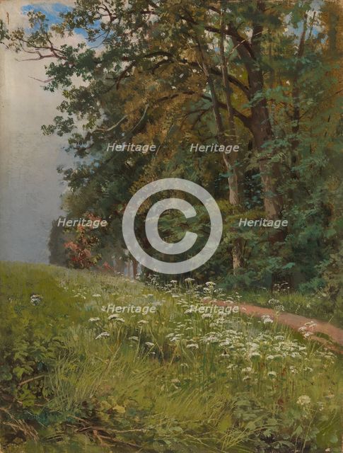 Landscape, c1870s. Creator: Ivan Shishkin.