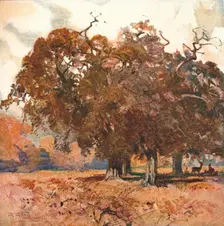 Landscape c1904. Artist: Albert Henry Fullwood