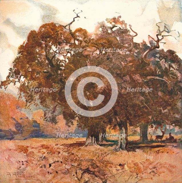 'Landscape', c1904. Artist: Albert Henry Fullwood.
