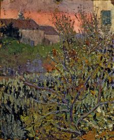 Landscape Creator: Nicolau Raurich Petre