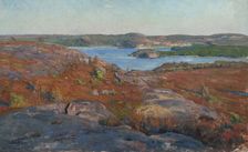 Landscape. Fjärås, Halland. Creator: Elias Erdtman