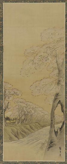 Landscape: flowering cherry trees along the banks of a stream, Edo period, 1615-1868. Creator: Utagawa Hiroshige II