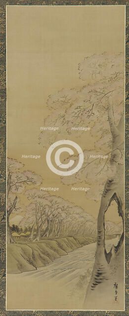 Landscape: flowering cherry trees along the banks of a stream, Edo period, 1615-1868. Creator: Utagawa Hiroshige II.