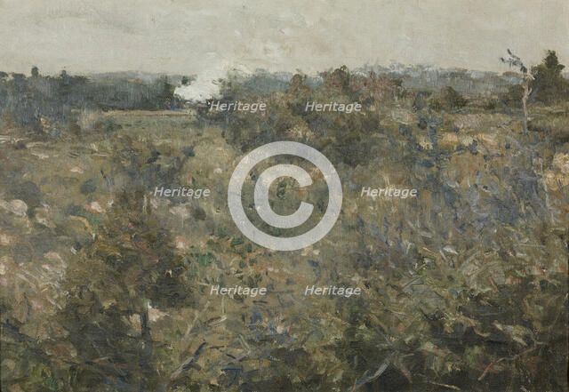 Landscape från Grez-sur-Loing. Study for NM 6809. Creator: Karl Nordström.