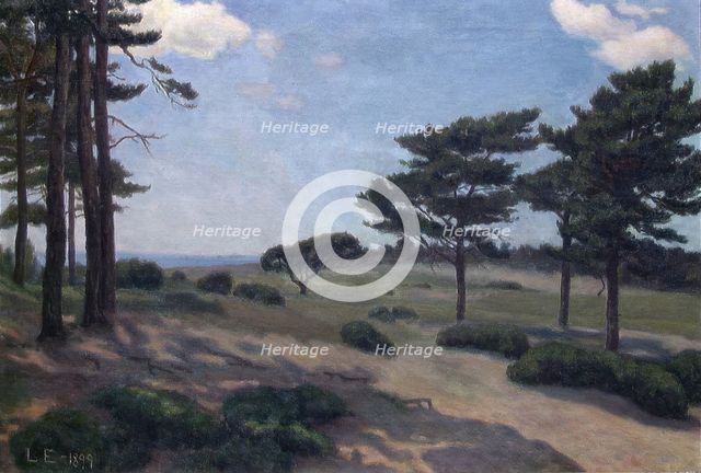 Landscape from Hvaler, 1899. Creator: Lars Martin Eriksen.