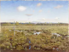Landscape from Lapland, 1892. Creator: Torsten Wasastjerna