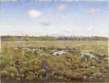 Landscape from Lapland, 1892. Creator: Torsten Wasastjerna