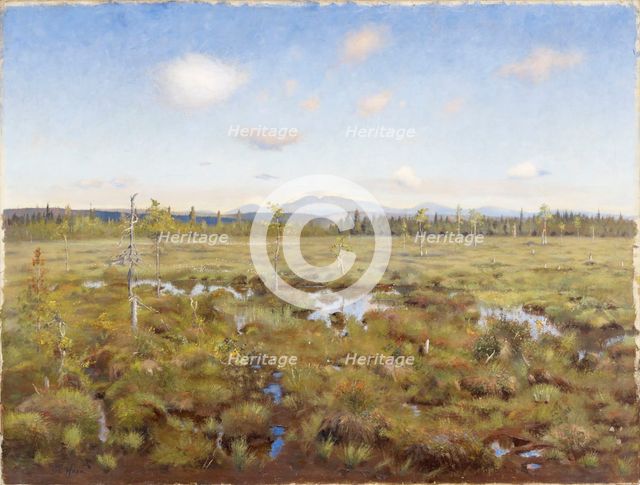 Landscape from Lapland, 1892. Creator: Torsten Wasastjerna.