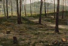 Landscape from Rath, 1880. Creator: Victor Westerholm